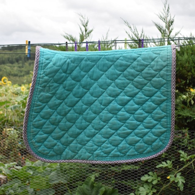 tapis équithème