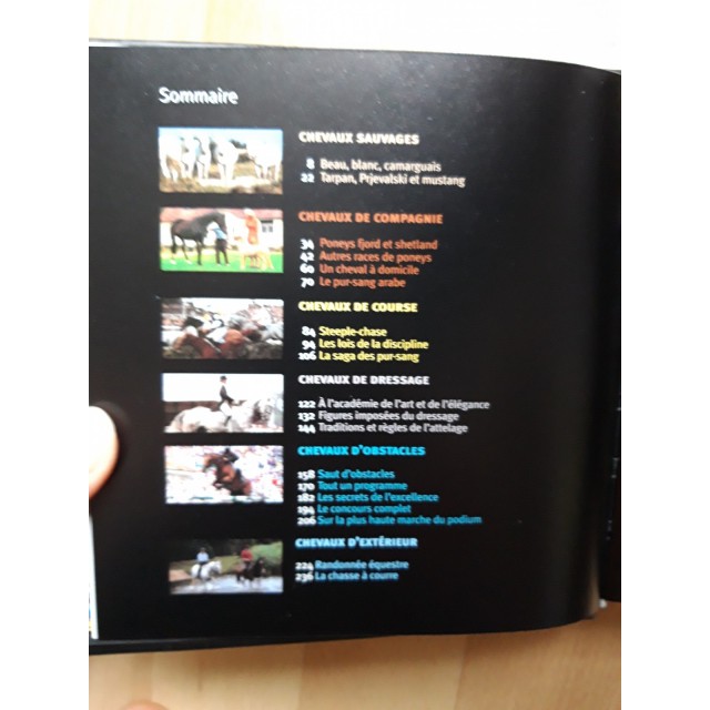 Les chevaux 1001 photos