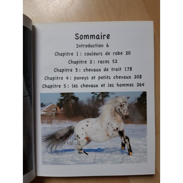 Livre L'encyclopédie XL des chevaux et poney