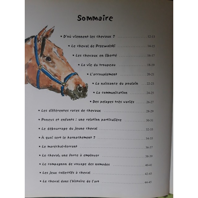 Livre Les chevaux racontés aux enfants