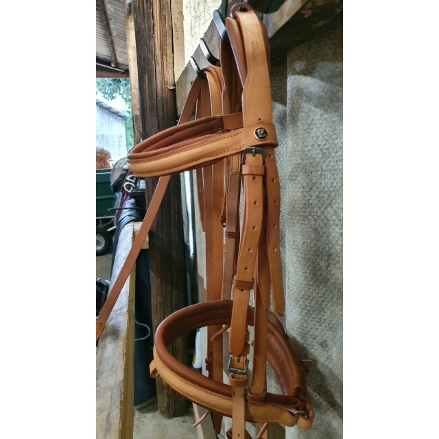 Bridon zaldi sanjorge