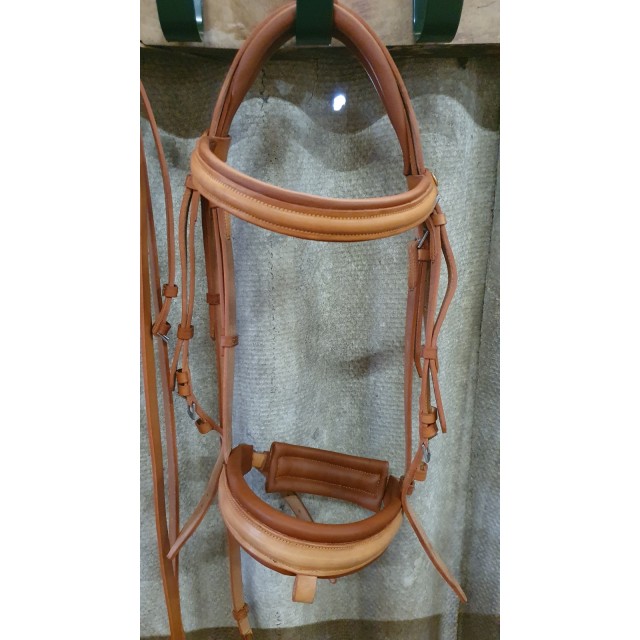 Bridon zaldi sanjorge