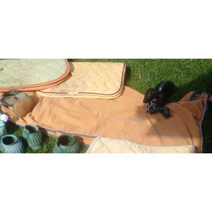 Couvre rein equithème