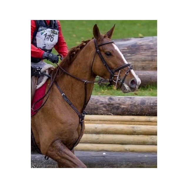 Collier de chasse Fouganza