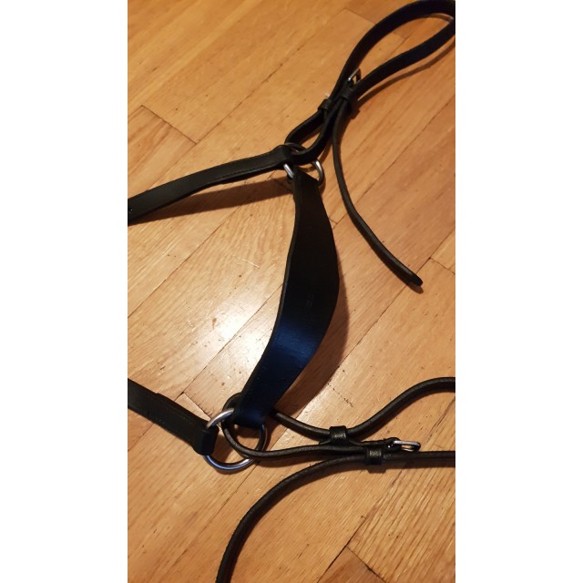 Collier de chasse Fouganza