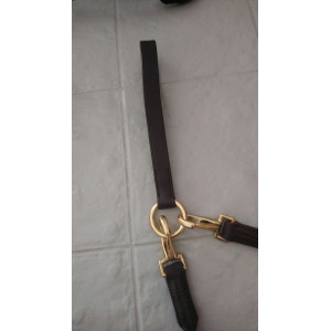 Rênes allemandes Eric Thomas Poney