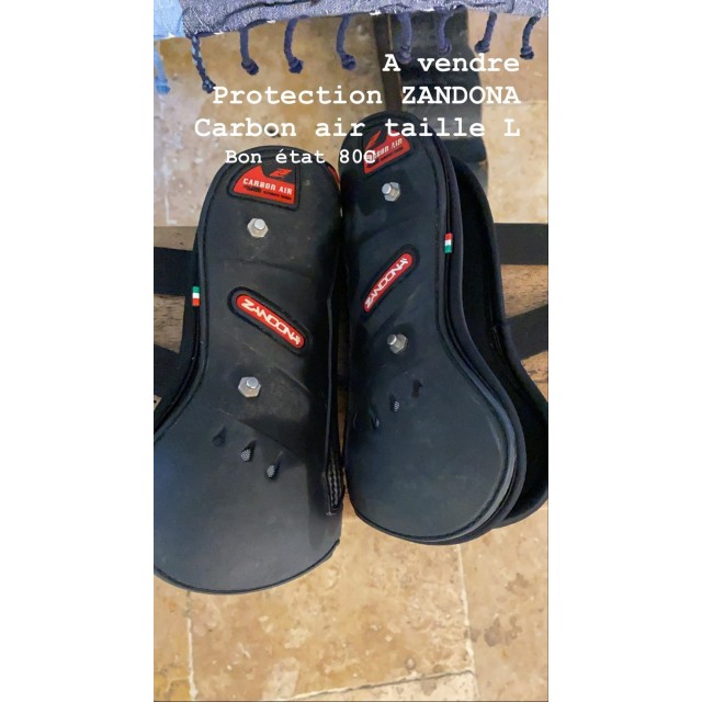 Protection antérieur ZANDONA