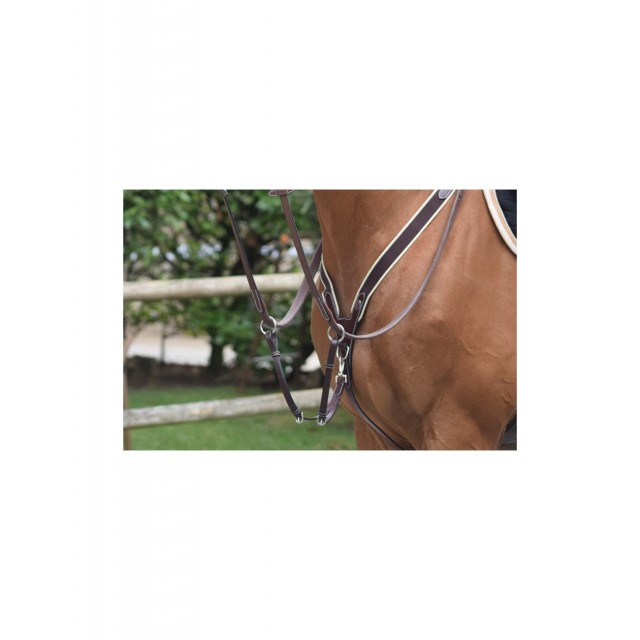 Collier de chasse jumpin