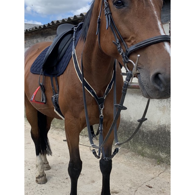 Collier de chasse jumpin
