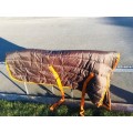 Couverture cheval