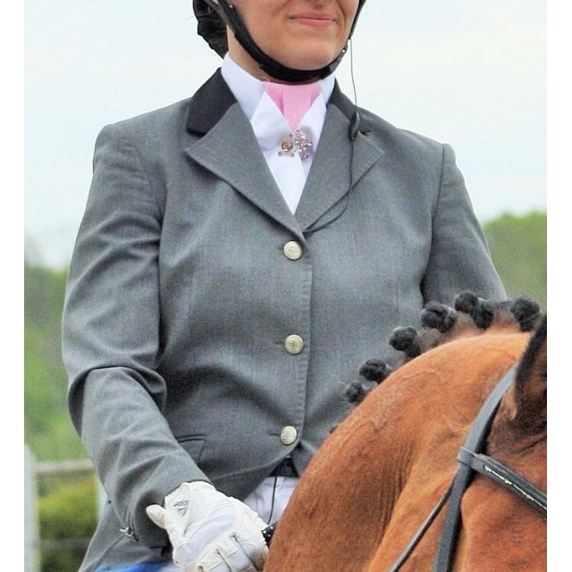 Cravate show quest uk dressage rose
