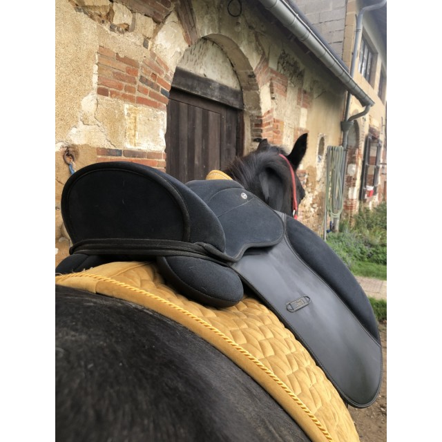 Selle dressage tattini daslo