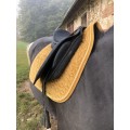 Selle dressage tattini daslo