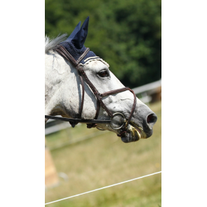 Bridon devoucoux muserolle croisée acajou