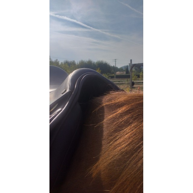 Selle eric thomas fitter 17 pouces