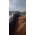 Selle eric thomas fitter 17 pouces