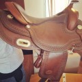 Selle western Pool's 3010