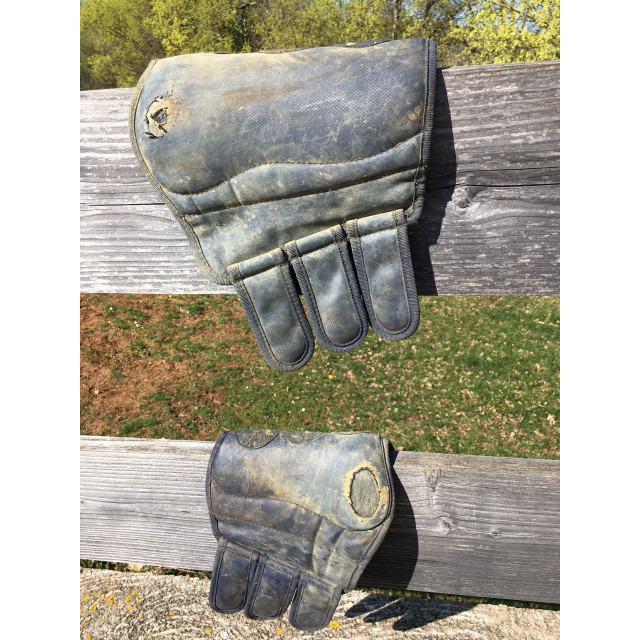 Ensemble protections dressage