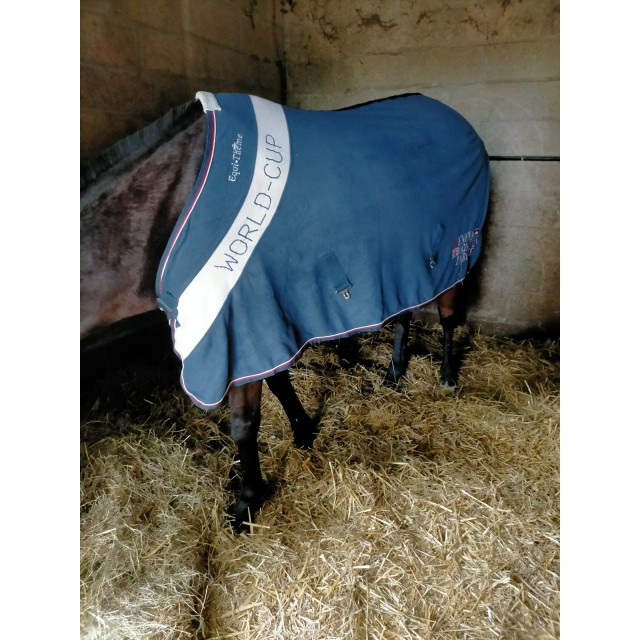 Chemise équi-thème