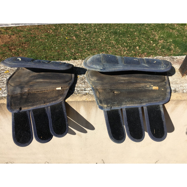 Ensemble protections dressage