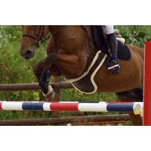 Bavette mouton kentucky 135