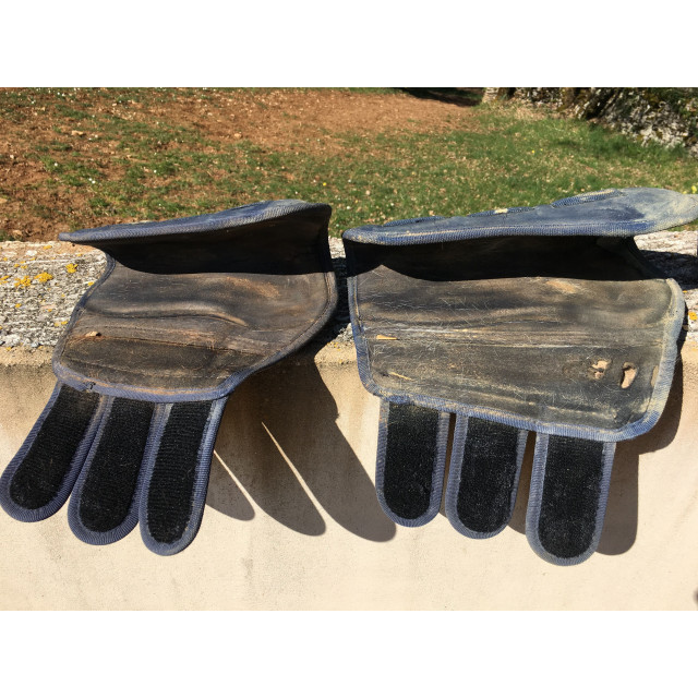 Ensemble protections dressage