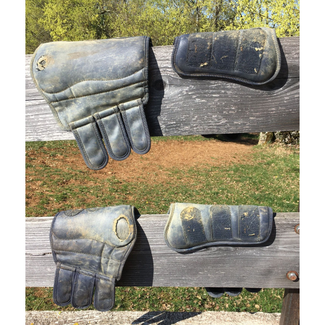 Ensemble protections dressage