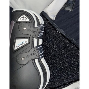 Veredus color L