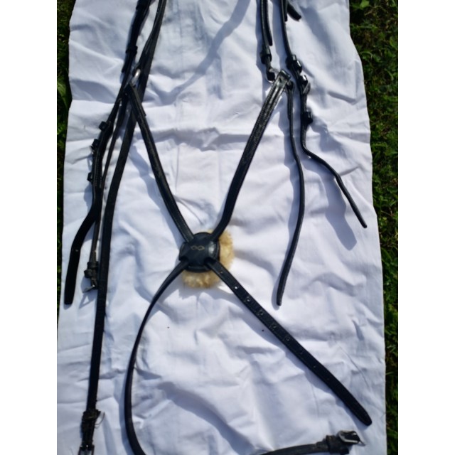 Filet TdeT muserolle croisée