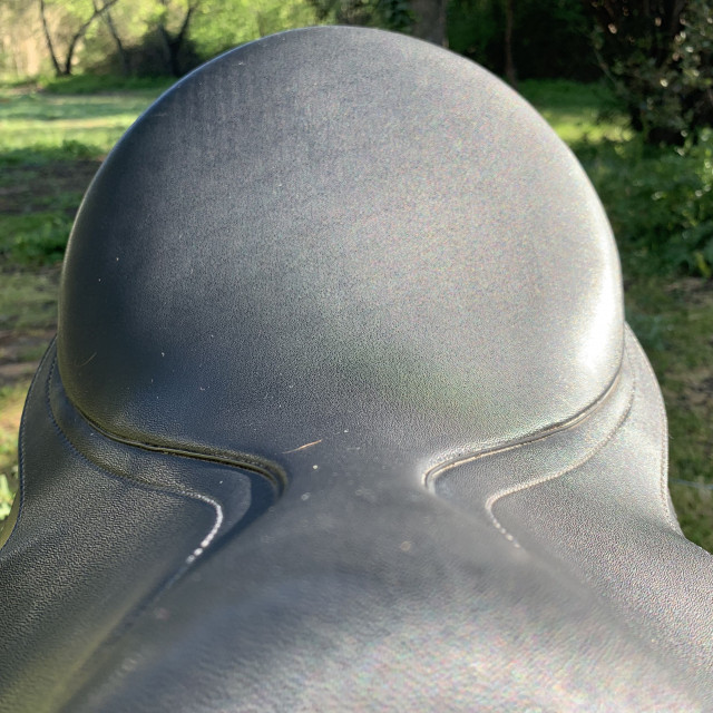 Selle wintec tous equipée