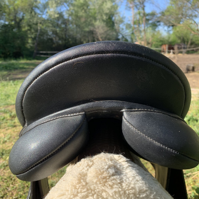 Selle wintec tous equipée