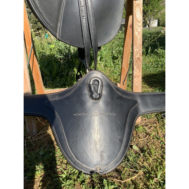 Selle wintec tous equipée