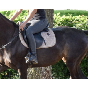 Pantalon Horse Pilot