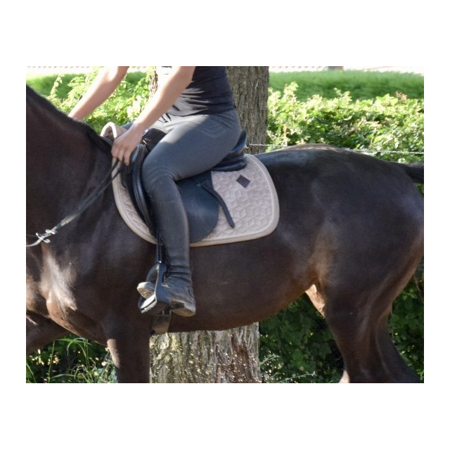 Pantalon Horse Pilot