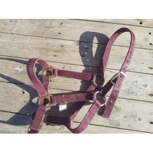 Licol bordeau en Nylon