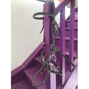 Filet muserolle croisée HFI