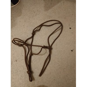 Licol étholoéthologique