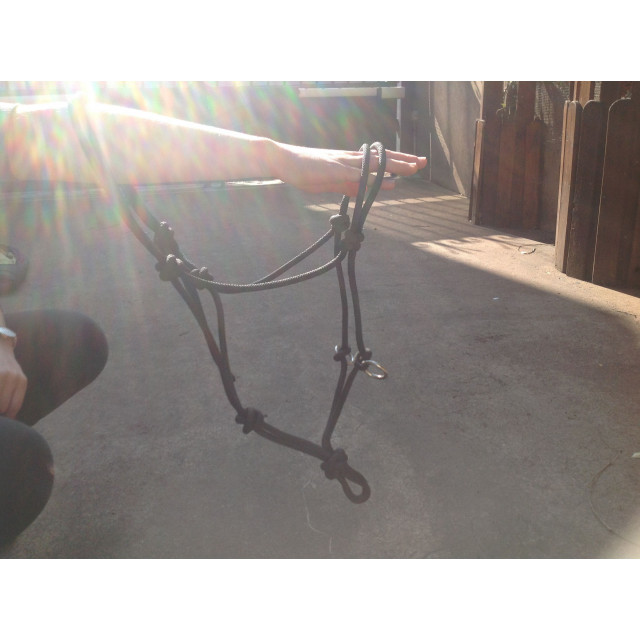 Licol corde/sidepull
