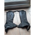 Chaps equitheme