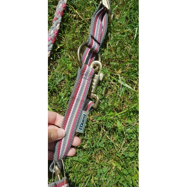 licol rose et gris