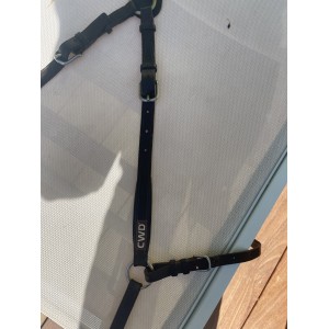 Collier de chasse CWD