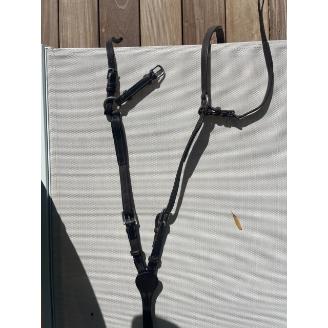 Collier de chasse CWD