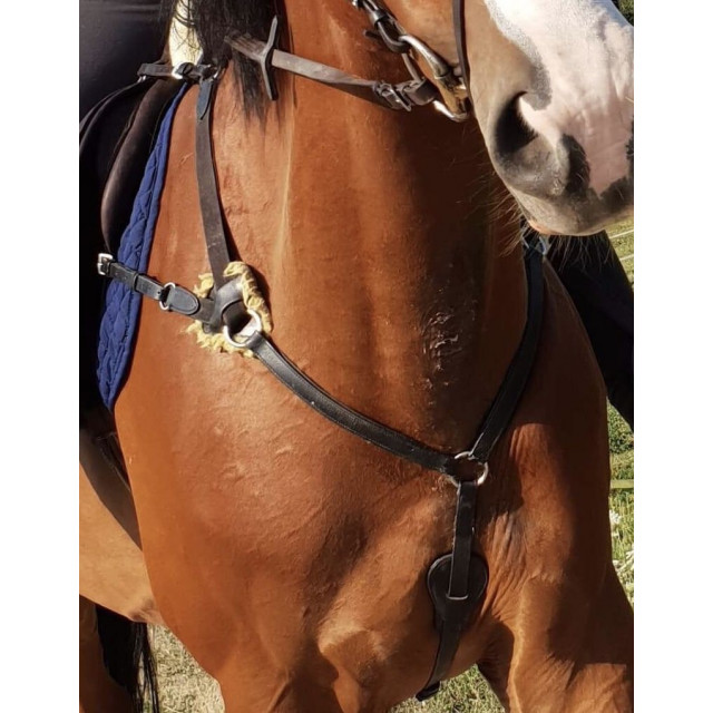 Collier de chasse