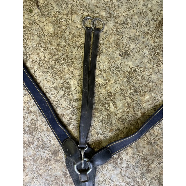 Collier de chasse avec martingale