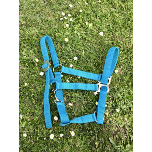 Lot de 2 licols shetland/cheval