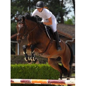 Guêtres moutons eskadrons