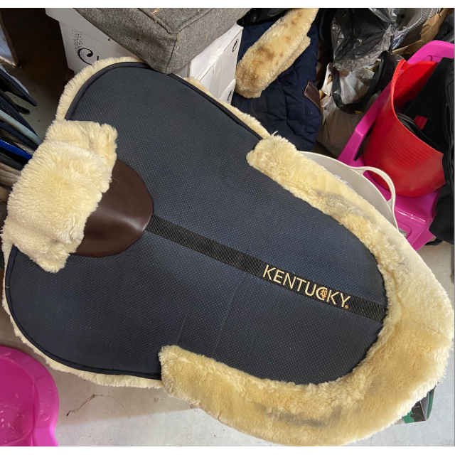 Amortisseur kentucky