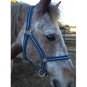 licol bleu blanc
