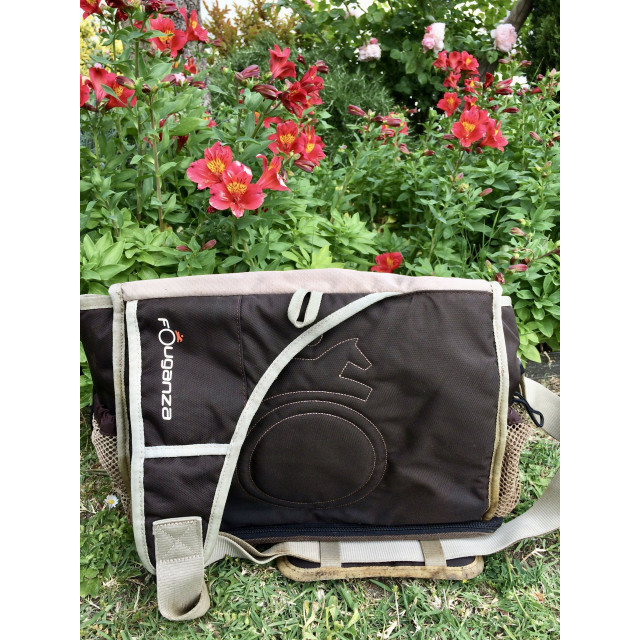 Sac de pansage