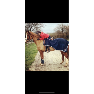 Couvre rein + guetres HV POLO